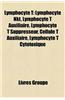 Lymphocyte T: Lymphocyte Nkt, Lymphocyte T Auxiliaire, Lymphocyte T Suppresseur, Cellule T Auxiliaire, Lymphocyte T Cytotoxique