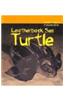 Leatherback Sea Turtle