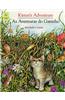 Kitten's Adventure/as Aventuras Do Gatinho