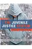 The Juvenile Justice System: Delinquency, Processing, and the Law Plus Mycrimekit -- Access Card Package
