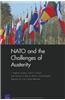 NATO AMP CHALLENGES OF AUSTERITY