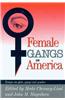 FEMALE GANGS IN AMERICA