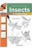 How to Draw Insects in Simple Steps