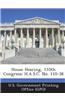 House Hearing, 110th Congress: H.A.S.C. No. 110-38