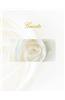 Guests: Wedding Guest Book