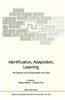 Identification, Adaptation, Learning
