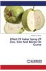 Effect of Foliar Spray of Zinc, Iron and Boron on Guava
