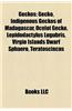 Geckos: Diplodactylinae, Fictional Chameleons and Geckos, Flat-Tailed Geckos, Gecko Stubs, Gekkonidae, Crested Gecko, Heterono