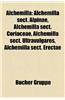 Alchemilla: Alchemilla Sect. Alpinae, Alchemilla Sect. Coriaceae, Alchemilla Sect. Ultravulgares, Alchemilla Sect. Erectae