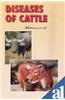 Diseases of Cattle