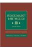 Endocrinology Metabolism