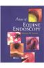 Atlas of Equine Endoscopy