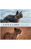 Cats and Lions