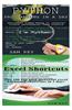 Python Programming in a Day & Excel Shortcuts