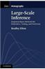 Large-Scale Inference