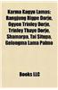 Karma Kagyu Lamas: Karmapas, Palpung Tai Situ Tulkus, Karmapa Controversy, Ogyen Trinley Dorje, Rangjung Rigpe Dorje, 16th Karmapa Lama