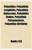 Polyalthia Polyalthia: Polyalthia Longifolia, Polyalthia Rufescens, Polyalthia Glabpolyalthia Longifolia, Polyalthia Rufescens, Polyalthia Gl