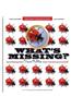What's Missing: Mindbending Visual Riddles for Young Sleuths! [With Magnifying Glass]