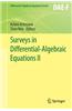 Surveys in Differential-Algebraic Equations II
