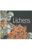 Lichens of North America