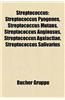 Streptococcus: Streptococcus Pyogenes, Streptococcus Mutans, Streptococcus Anginosus, Streptococcus Agalactiae, Streptococcus Salivar