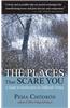 The Places That Scare You: A Guide to Fearlessness in Difficult Times