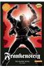 Frankenstein: The Graphic Novel