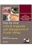 Step by Step Clinical Diagnosis and Management to Ocular Allergy with Photo CD-ROM