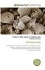 Ammonite