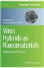 Virus Hybrids as Nanomaterials