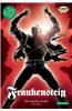 Frankenstein: The Graphic Novel