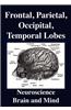 Frontal Lobes, Parietal Lobes, Occipital Lobes, Temporal Lobes, Neuroscience, Brain and Mind
