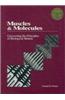 Muscles and Molecules: Uncovering the Principles of Biological Motion