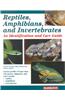 Reptiles, Amphibians and Invertebrates