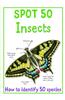Spot 50 Insects