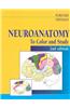 Neuroanatomy to Color and Study