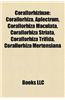Corallorhizinae: Corallorhiza, Aplectrum, Corallorhiza Maculata, Corallorhiza Striata, Corallorhiza Trifida, Corallorhiza Mertensiana