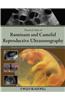 Practical Atlas of Ruminant and Camelid Reproductive Ultrasonography
