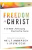 Freedom in Christ DVD: A 10-Week Life-Changing Discipleship Course