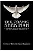 Cosmic Shekinah