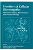 Frontiers of Cellular Bioenergetics: Molecular Biology, Biochemistry, and Physiopathology