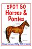 Spot 50 Horses and Ponies