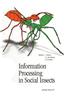 Information Processing in Social Insects