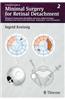 Practical Guide to Minimal Surgery for Retinal Detachment