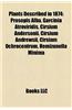 Plants Described in 1874: Prosopis Alba, Garcinia Atroviridis, Cirsium Andersonii, Cirsium Andrewsii, Cirsium Ochrocentrum, Hemizonella Minima