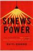Sinews of Power: The Politics of the State Grid Corporation of China