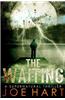 The Waiting: A Supernatural Thriller