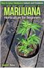 Marijuana Horticulture for Beginners: How to Grow Marijuana Indoors and Outdoors