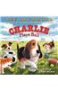 Charlie Plays Ball