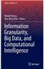 Information Granularity, Big Data, and Computational Intelligence